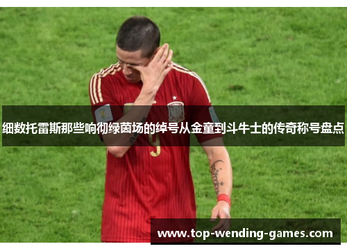 细数托雷斯那些响彻绿茵场的绰号从金童到斗牛士的传奇称号盘点 细数托雷斯那些响彻绿茵场的绰号从金童到斗牛士的传奇称号盘点