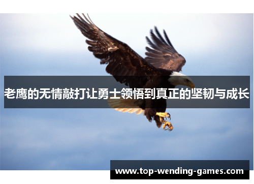 老鹰的无情敲打让勇士领悟到真正的坚韧与成长